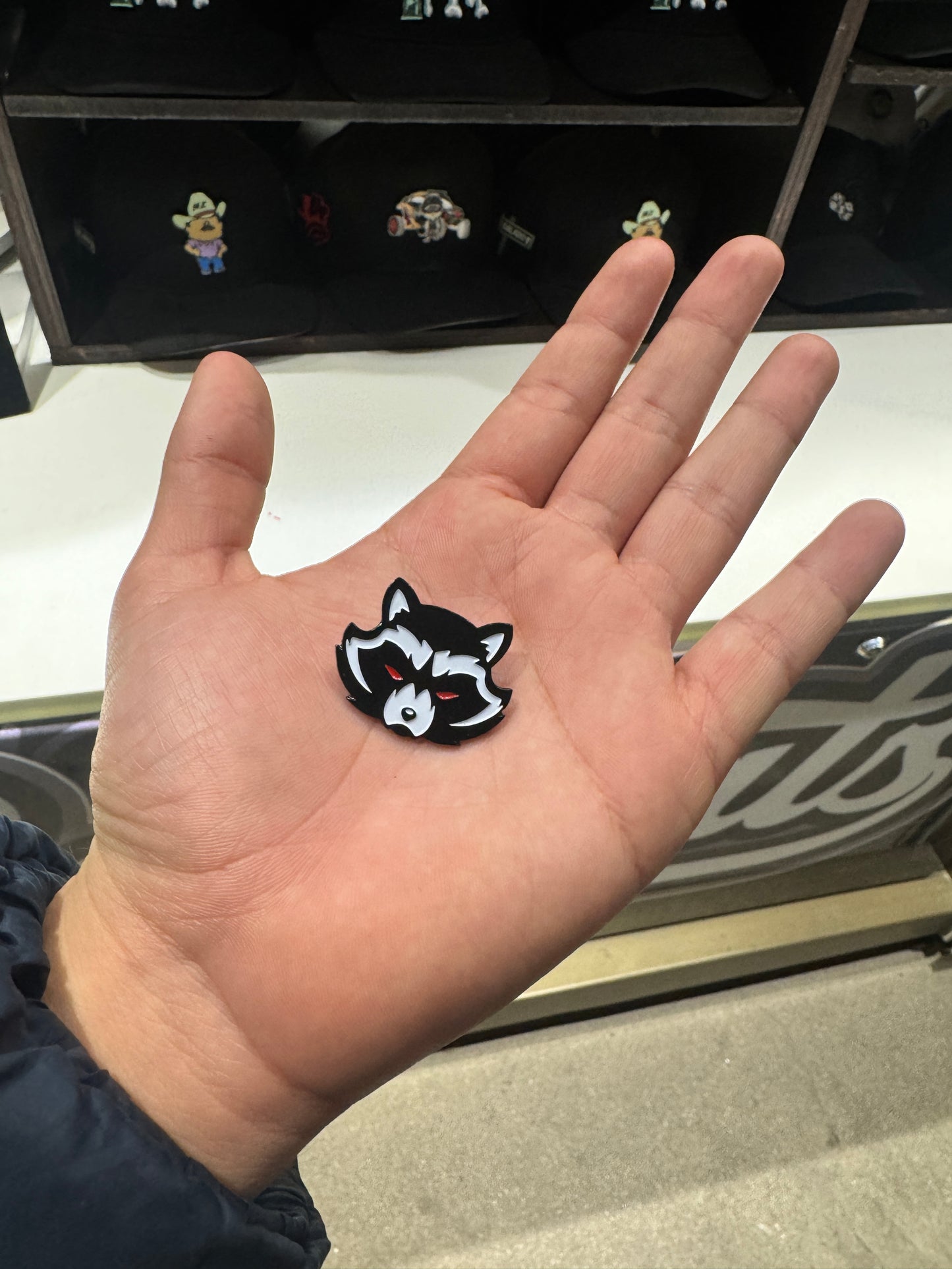 Racoon Pin 🦝