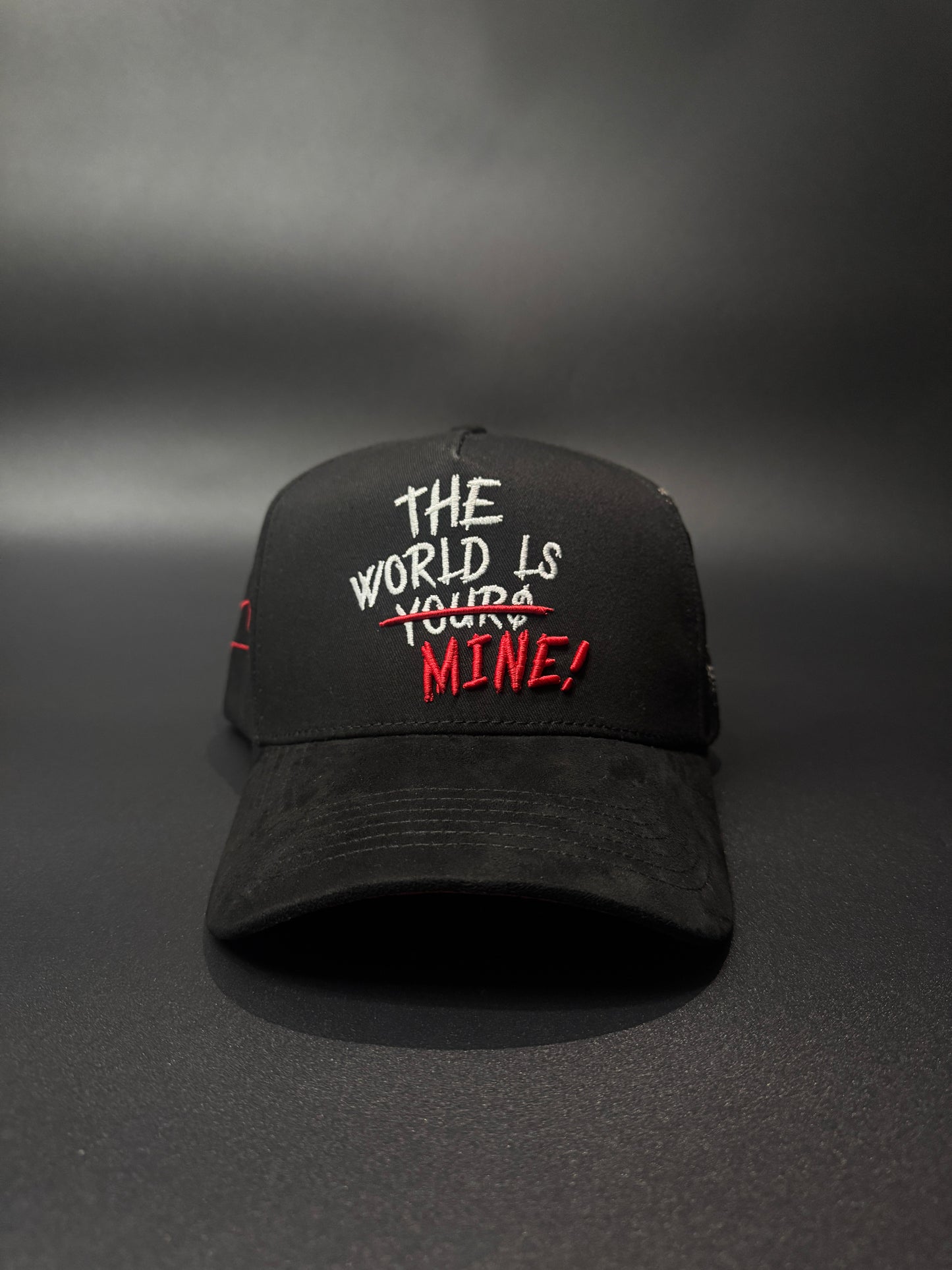 aThe World Is Mine