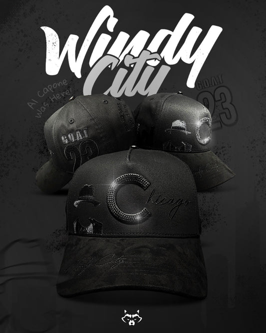 Chicago (Windy City)