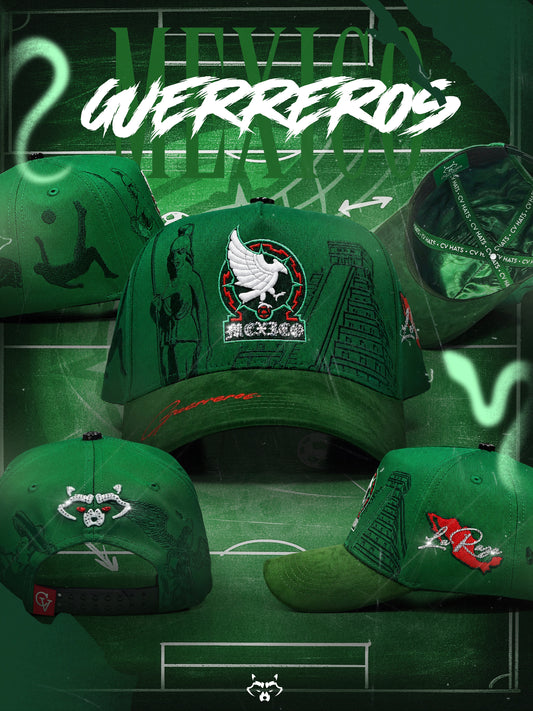 A MEXICO GUERREROS